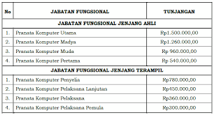 Hasil skd cpns 2019 kab subang. Kenaikan Tunjangan Pranata Komputer Gaji Dan Tpp Pns