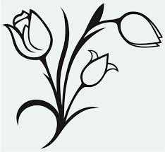 Dibujos De Rosas Para Imprimir Buscar Con Google Dibujos De Flores Tulipanes Para Dibujar Tulipanes Dibujo Tutoriales para aprender a dibujar fácil de manera avanzada. dibujos de rosas para imprimir buscar
