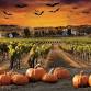 Hallo-Wine at Durst! event image
