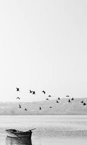 Only the best resolutions wallpapers. 1080x2400 Wallpapers