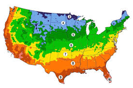 Zone 5 Vegetable Planting Calendar Guide Urban Farmer Seeds