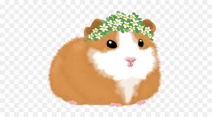 The image can be easily used for any free creative project. Pig Cartoon Png Download 500 500 Free Transparent Hamster Png Download Cleanpng Kisspng