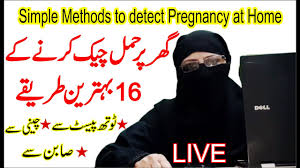 How to pregnancy test at home in urdu. How To Do Pregnancy Test At Home Hamal Check Krny Ka Tariqa Easy Methods To Check Pregnancy Urdu Youtube
