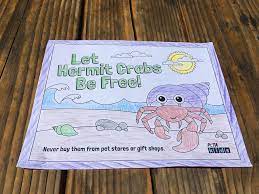 A house for hermit crab by eric carle (week 1) idea bubble (week 1) reference images for students choice of animals and possible habitat 1. Hermit Crab Coloring Sheets Activities Peta Kids