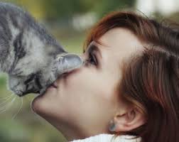 DHAgold apoia a função cognitiva de cães mais velhos