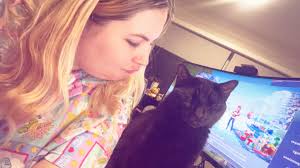 Temporary foster care for cat in Queensland near Brisbane?