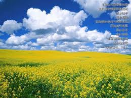 送給你美麗的貝母花 unusual flowers amazing flowers rare flowers