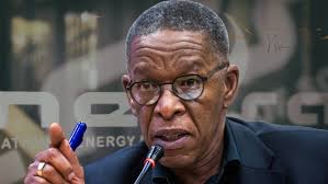 People are looking at ANC 'with horror and shame', says Naledi Pandor