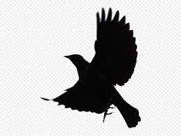 Black Bird Png Blackbird Png Transparent Png Mart 1848 1391 Png Download Free Transparent Background Black Bi Cartoon Clip Art Bird Silhouette Black Bird