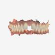 Intraoral scan dental implants product image