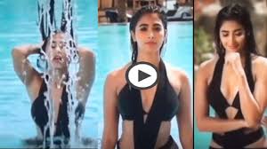 Image result for pooja hegde hot photoshoot