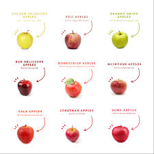 Apples Red Delicious Apples Mcintosh Apples Honeycrisp Apples
