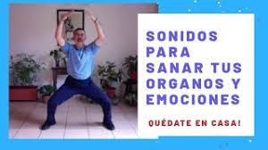8 de fevereiro de 2014 às 12:06. Luis Duarte Tai Chi Qi Gong Youtube Channel Analytics And Report Powered By Noxinfluencer Mobile