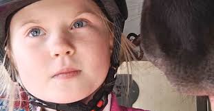 Tekla tog silver i SM för islandshästar