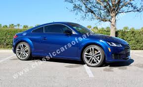 Image result for Ara Blue 2017 TT