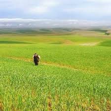 Kunduz is a city in northern afghanistan, which serves as the capital of kunduz province. Kunduz Afghanistan Most Beautiful Wallpaper Photojournalism Photography World Cultures