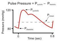Cardiology Pulse Pressure