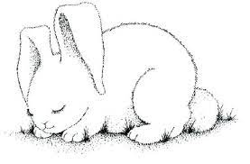 Bunny rabbit coloring pages lopeared bunny drawing by in this world, many tame animals that live in the air, water and land and are maintained by humans. Realistic Bunny Coloring Pages Bunny Coloring Pages Coloring Pages My Little Pony Coloring