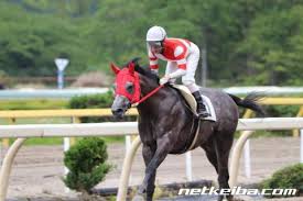 ダイシンベール (ゴールドアリュール) ヤマトディオーサ 牝7 2014 åœ°æ–¹ç«¶é¦¬ ã‚ªã‚°ãƒªã‚­ãƒ£ãƒƒãƒ—ã®å­« ãƒŸãƒ³ãƒŠãƒŽãƒ'ãƒ¼ãƒ­ãƒ¼ãŒäºˆå¾Œä¸è‰¯ã« å‰èµ°å¤§å·®å‹ã¡ã§æ³¨ç›®ã‚'é›†ã‚ã‚‹ ç«¶é¦¬ãƒ‹ãƒ¥ãƒ¼ã‚¹ Netkeiba Com