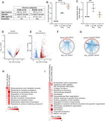 Image result for Nile Green 1949 Nash