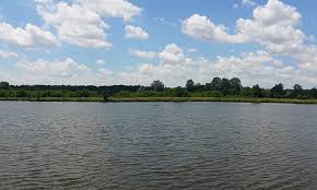 Prima partida de pescuit pe olt din 03 iunie 2020 a dat rezultate cu cativa carasi frumosi chiar daca vremea a fost schimbatoare. Balta Colonesti Olt Pescar Informat