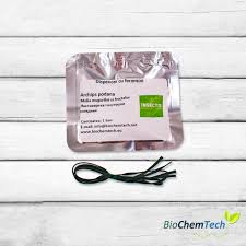 Image result for Archips podanus