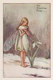 Flower Fairies The Snowdrop Fairy Vintage Print C1930 By Etsy Flower Fairies Books Fairytale Art Flower Fairies