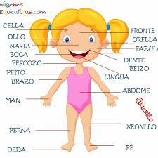 Maybe you would like to learn more about one of these? Stream Las Partes Del Cuerpo Humano Para Ninos Videos Educativos Para Ninos By Evelin Rodriguez Listen Online For Free On Soundcloud
