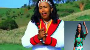 We did not find results for: Faxee Anniyaa Loshaa Baredaa New Oromo Music Best Youtube