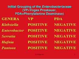 Biochemical Tests In Enterobacteriaceae