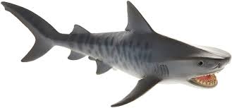 Tiger sharks are least described species of shark family. Amazon Com Schleich Tiger Shark 14765 Schleich Toys Games