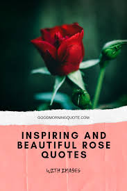 I love making graphics of beautiful flower images with quotes and sayings embedded in them. Rose Quotes Inspiring And Beautiful Rose Quotes With Images Rose Quotes Dogtrainingobedienceschool Com