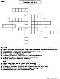 We did not find results for: Parts Of A Plant Worksheet Crossword Puzzle By Science Spot Tpt