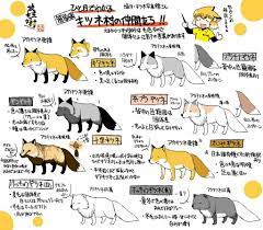 other おしゃれまとめの人気アイデア pinterest ayse melek 動物 図鑑 生き物 イラスト 動物