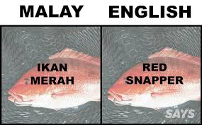 Viral es dalgona milo susu super big ala kboy. What S Ikan Patin In English Here Are 17 Translations Of Fish Malaysians Love
