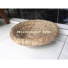 Ayam serama adalah ayam hias yang populer, dengan ukuran yang mungil tapi memiliki bentuk tubuh yang indah. Sarang Ayam Tempat Mengerami Telur Ayam Alas Tidur Ayam Sarang Ayam Bagus Shopee Indonesia