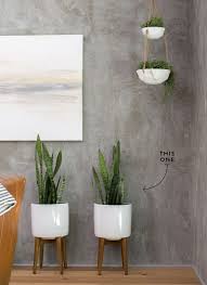 Plants Of Season 4 Joanna Gaines Shares Her Fixer Upper Secret Hanging Plants Indoor Hanging Plants Plant Decor