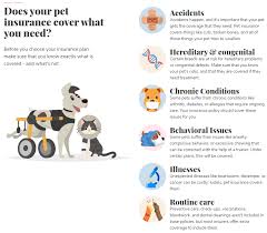 These services include comprehensive exams, unlimited office visits, nutritional consultations, and dental care. Pet Insurance Charleston Harbor Veterinarians