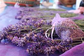 With its royal symbolism, shades of believe it or not, purple is one of the most popular flower colors. Lavender Purple Flower Free Photo On Pixabay