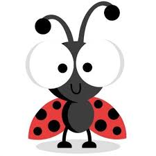 Image Result For Free Svg Files For Cricut Ladybug Cute Clipart Ladybug Art