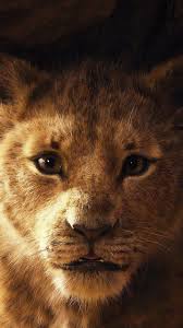 Movie The Lion King 2019 1080x1920 Mobile Wallpaper Lion King Movie Lion Wallpaper Lion King Pictures