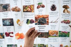 Activites Theme Automne Maternelle Livres Imagier Activites Coloriages Jeux Automne Maternelle Imagier Activite Automne
