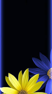 The former are sterile, while the latter. Yellow And Blue Flowers Wallpapers Wallpaper Cave