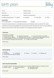 Customizable Birth Plan Template Free Editable Birth Plan Template 20 Download Free Documents In Pdf Word Birth Plan Template Birth Plan Birth Plan Printable
