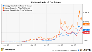 these 3 marijuana stocks turned 10 000 into 206 000 the