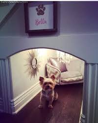 Diy Ideen Pro Hundeeckbetten Animal Room Hundeplatze Hunde Bett