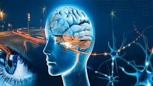 Resultado de imagen para percepcion