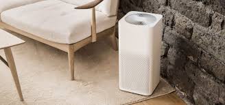 Air filter costs vary significantly from one air purifier to the next. When Should You Change Your Air Filter