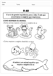 Atividades de recuperação paralela 2º trimestre 3 ano disciplina: Atividades Meio Ambiente 1Âº E 2Âº Ano Para Imprimir Escola Educacao