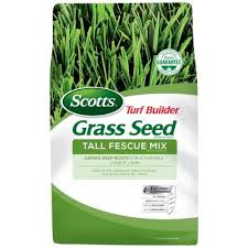 Looking for plant st augustine grass? Scotts Ez Seed Sun Shade 17520 Patch For St Augustine Grass Ornamental Grasses Home Garden